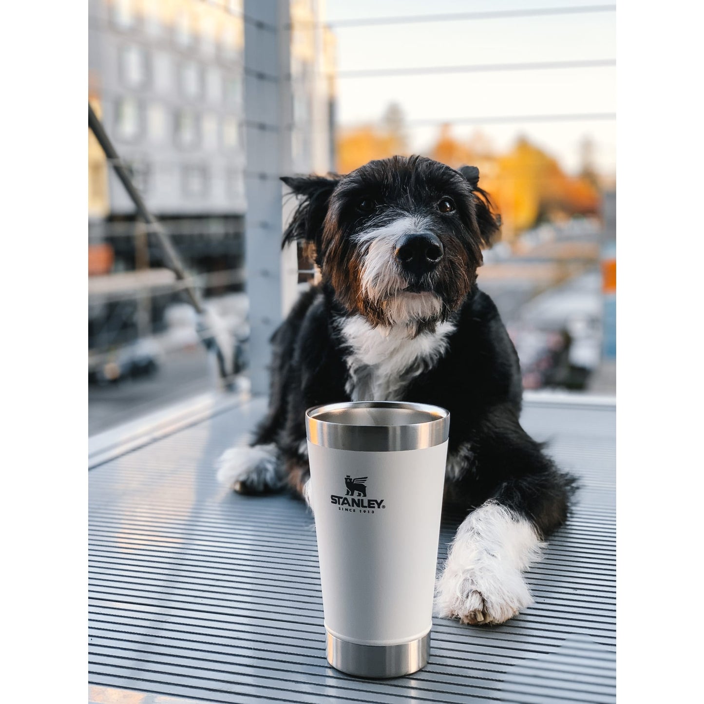 Stanley Stay-Chill Stacking Pint 16oz