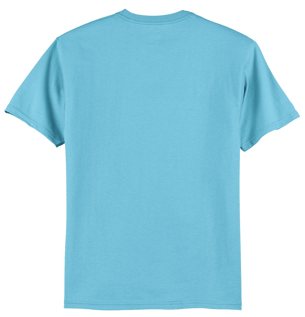 Hanes® Authentic 100% Cotton T-Shirt (CORE COLORS)
