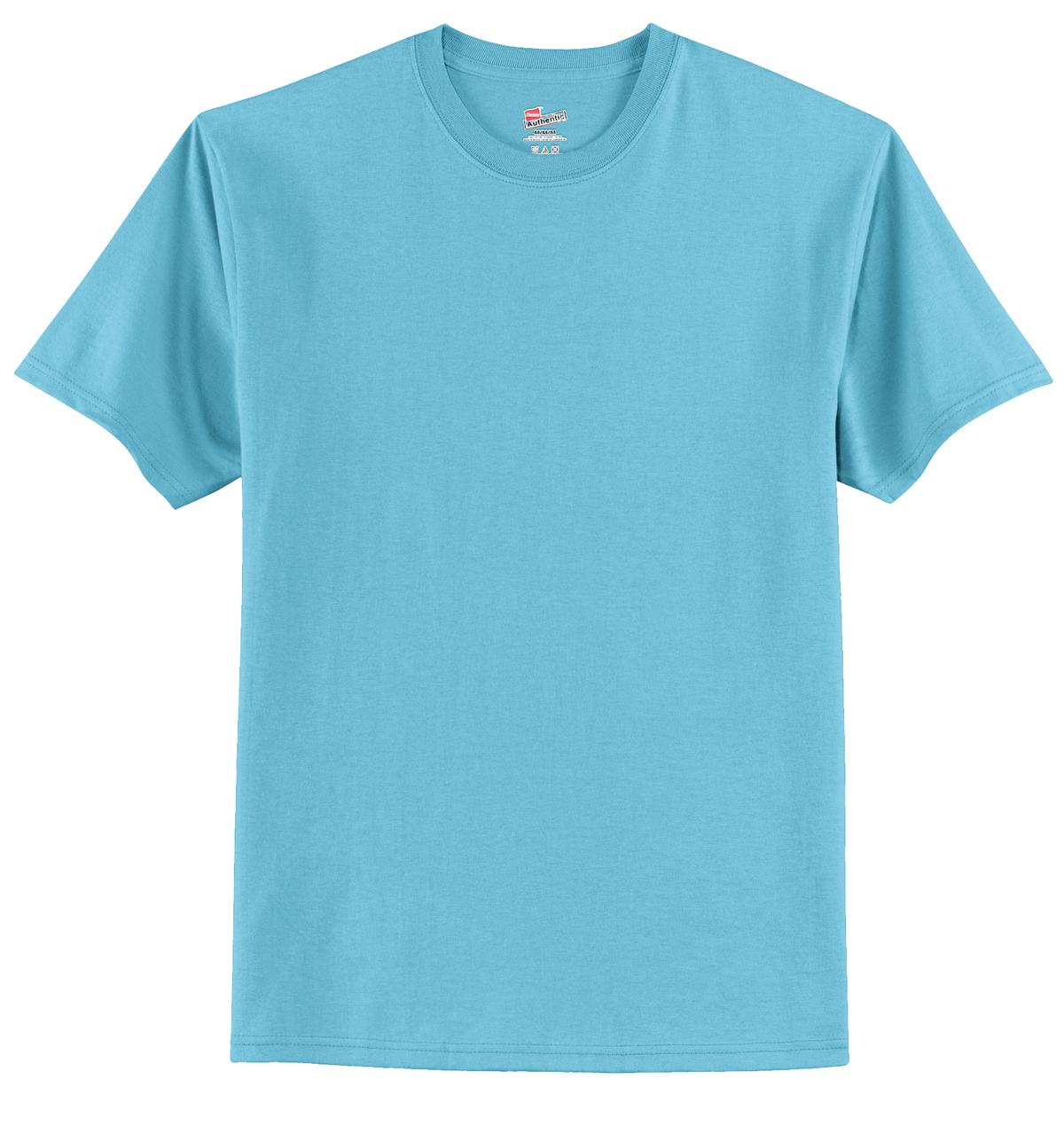Hanes® Authentic 100% Cotton T-Shirt (CORE COLORS)