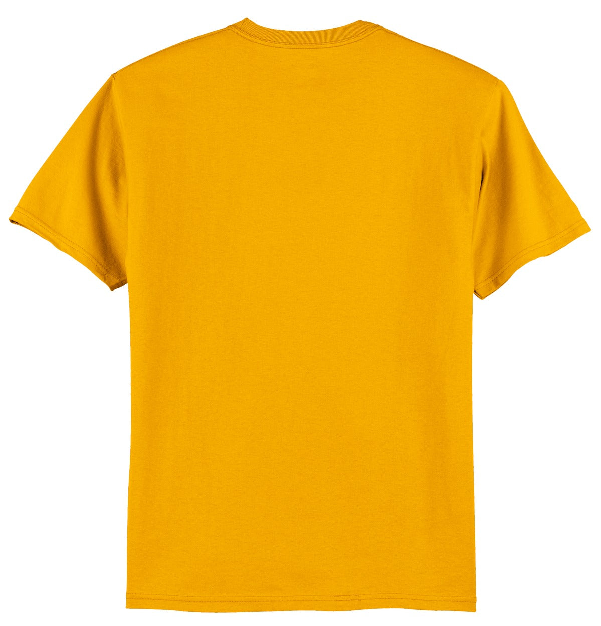 Hanes® Authentic 100% Cotton T-Shirt (CORE COLORS)