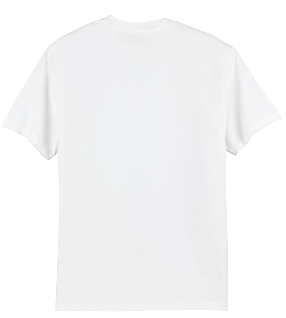 Hanes® Authentic 100% Cotton T-Shirt (CORE COLORS)