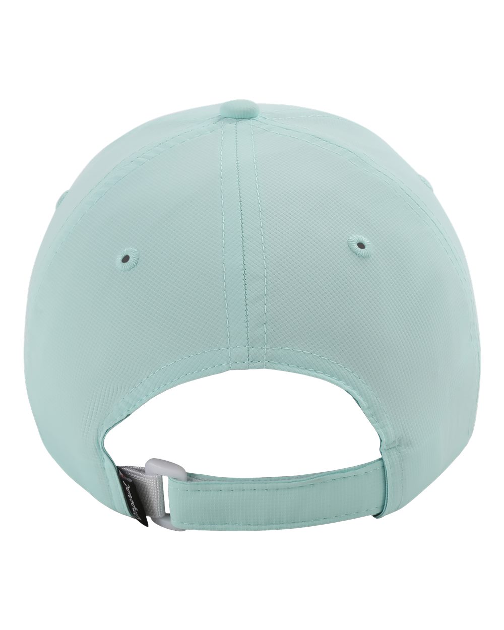 Rear View of Robins Egg The Original Performance Cap - X210P