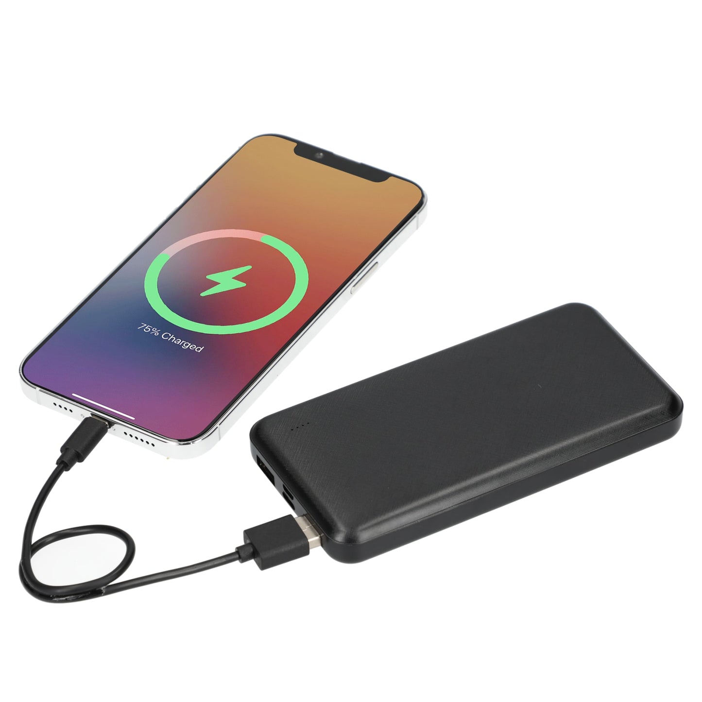 Dart 10000 mAh Power Bank