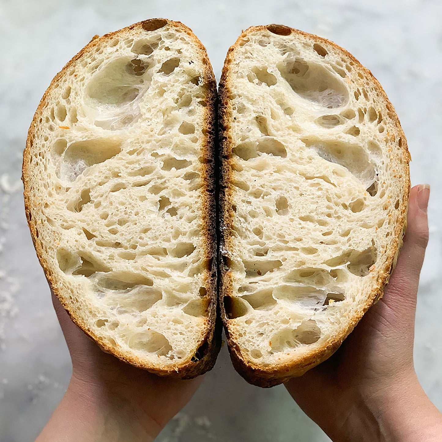 Black FarmSteady Sourdough Bread Winner Kit plain