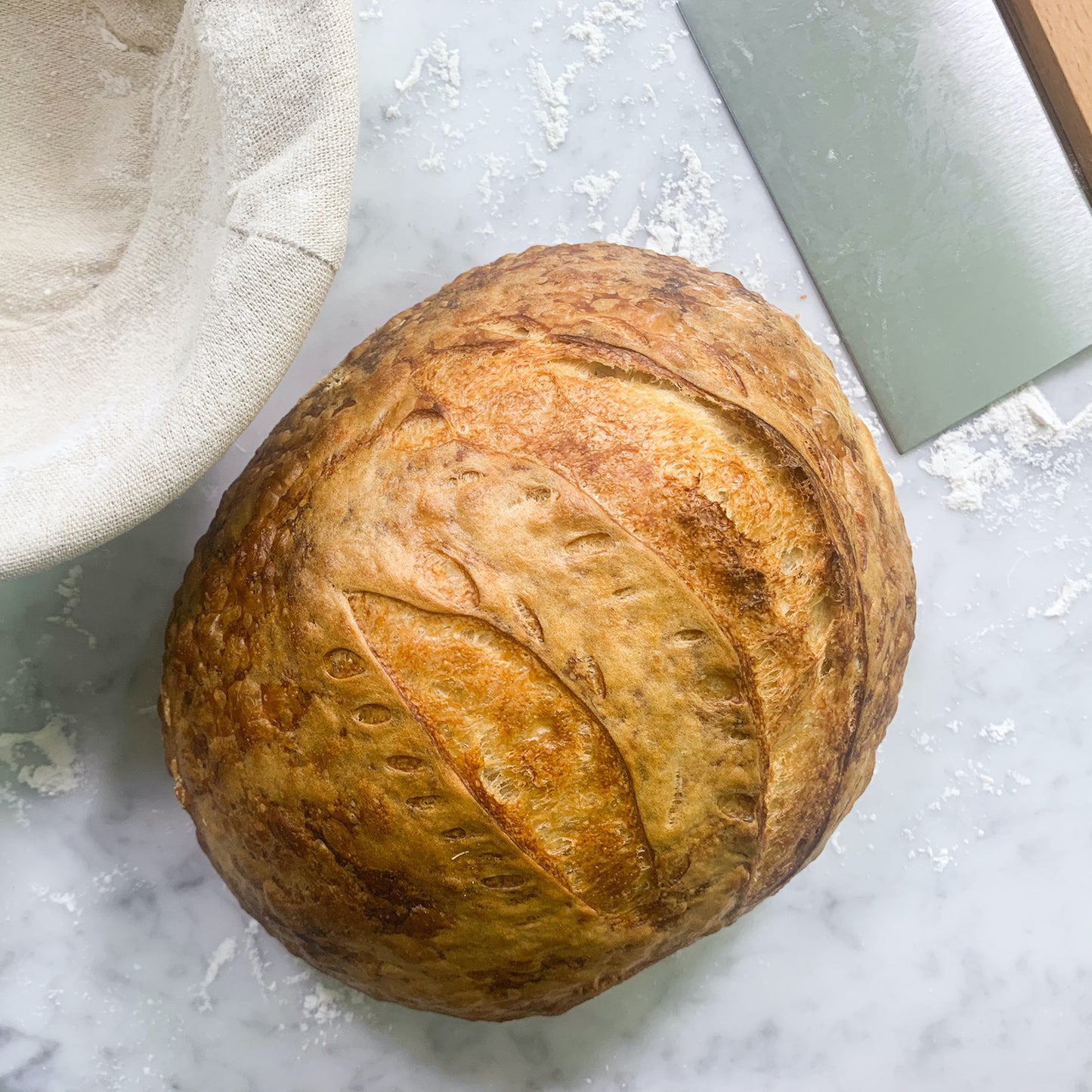 Black FarmSteady Sourdough Bread Winner Kit