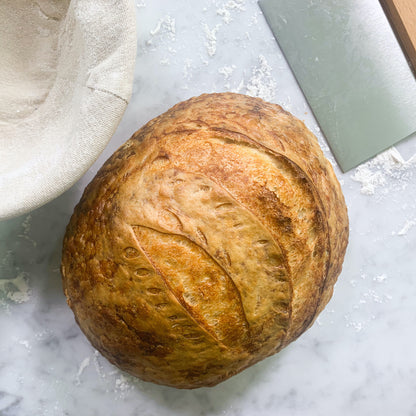 Black FarmSteady Sourdough Bread Winner Kit