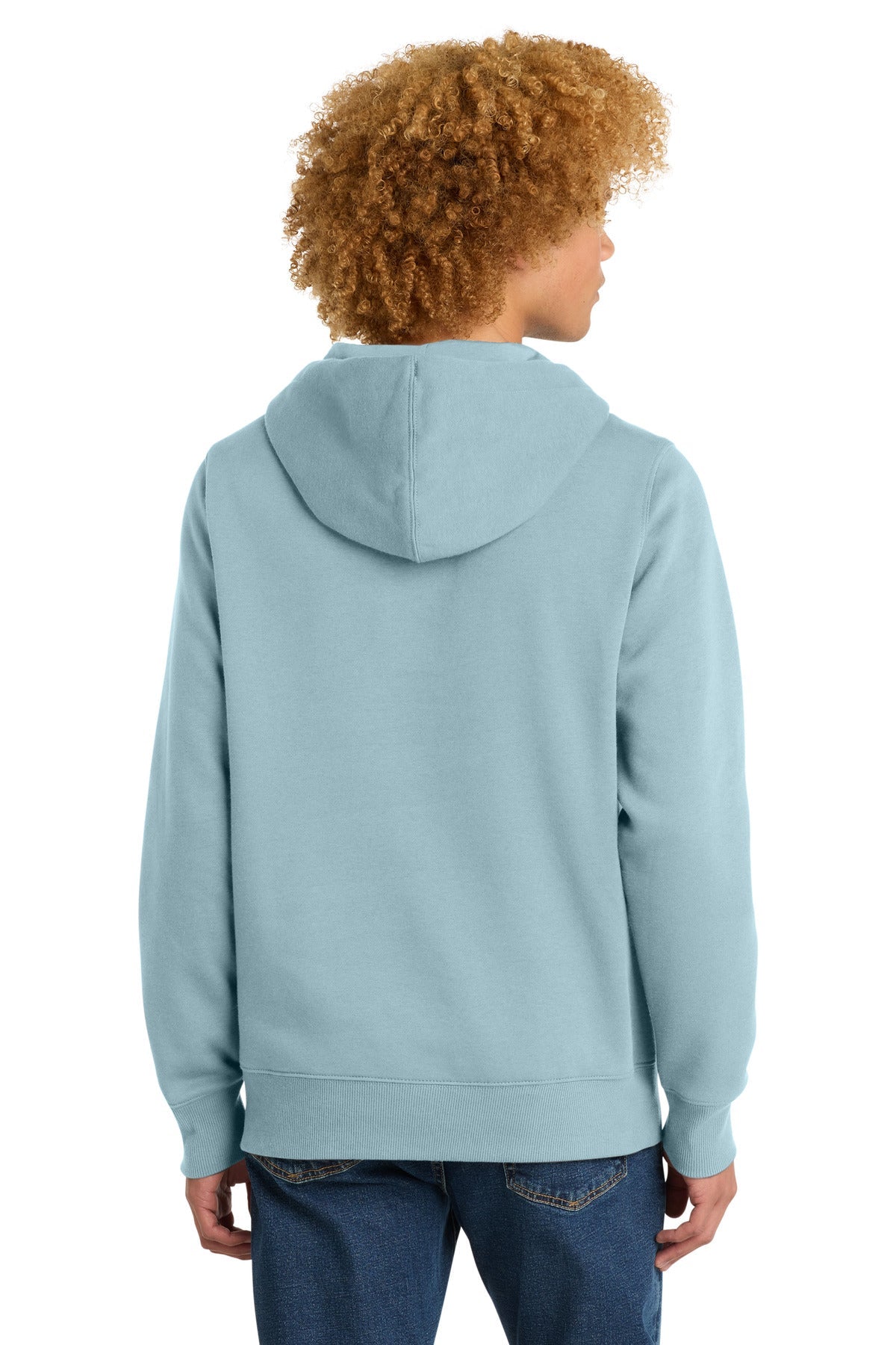 BlueFog District Perfect Weight Fleece Hoodie DT1101