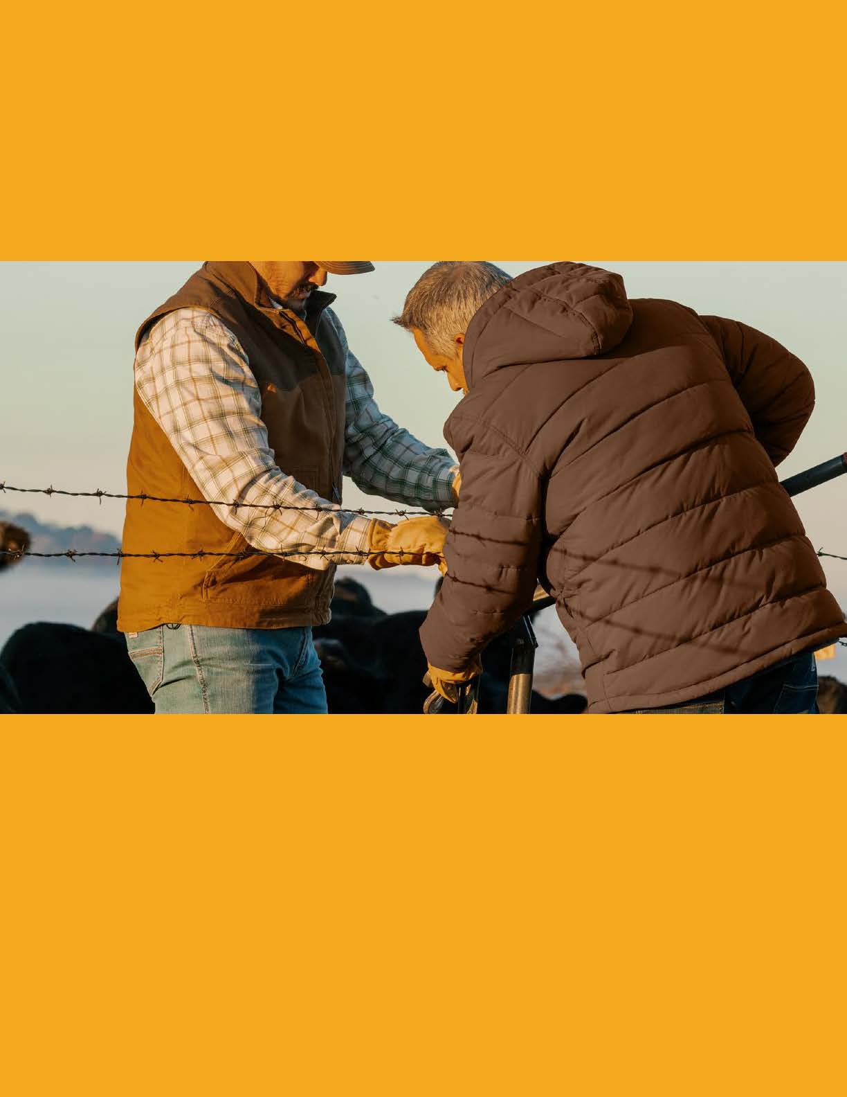 Digital Catalog - Carhartt 2025 NEW (2026 Items)