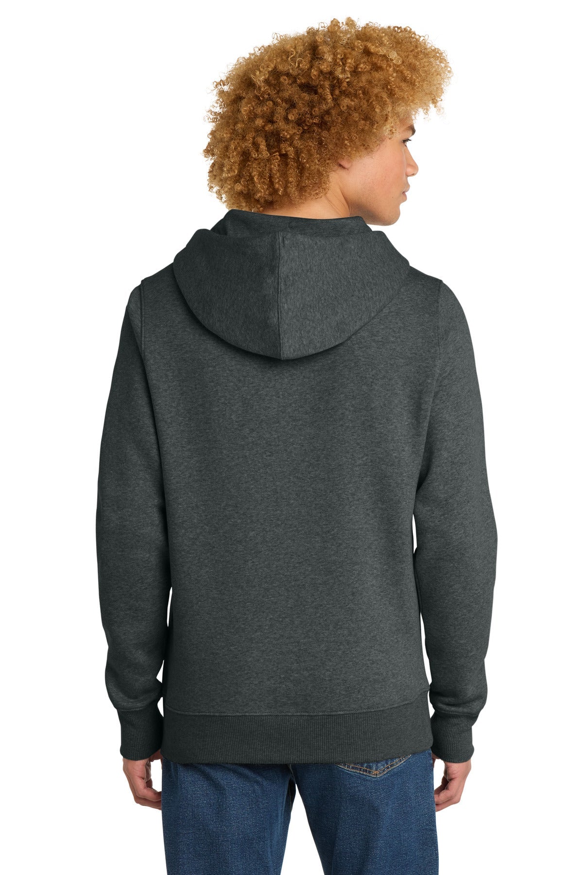 HtdChar District Perfect Weight Fleece Hoodie DT1101