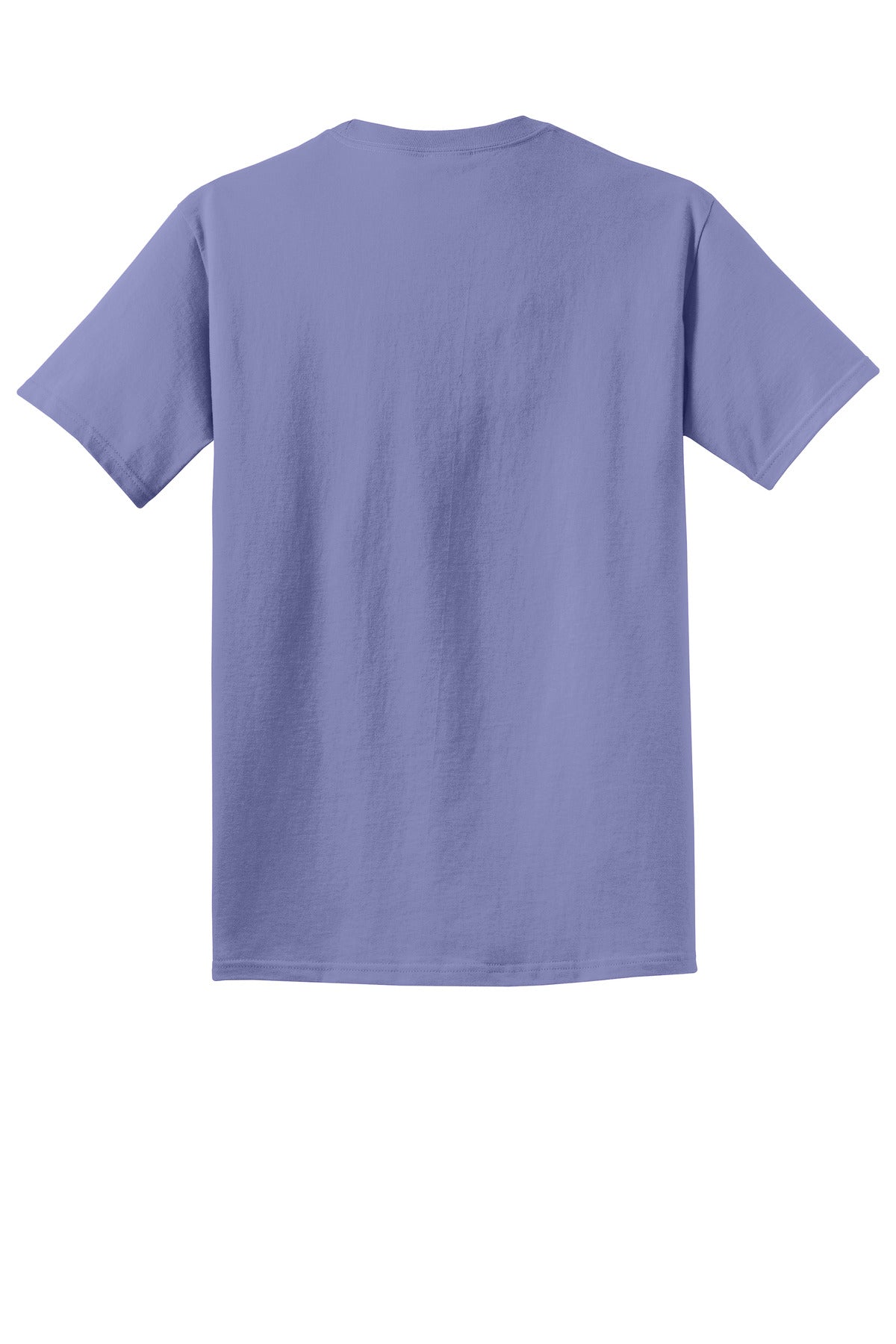 Rear View of Amethyst Port & Co Beach Wash Garment-Dyed Tee. PC099