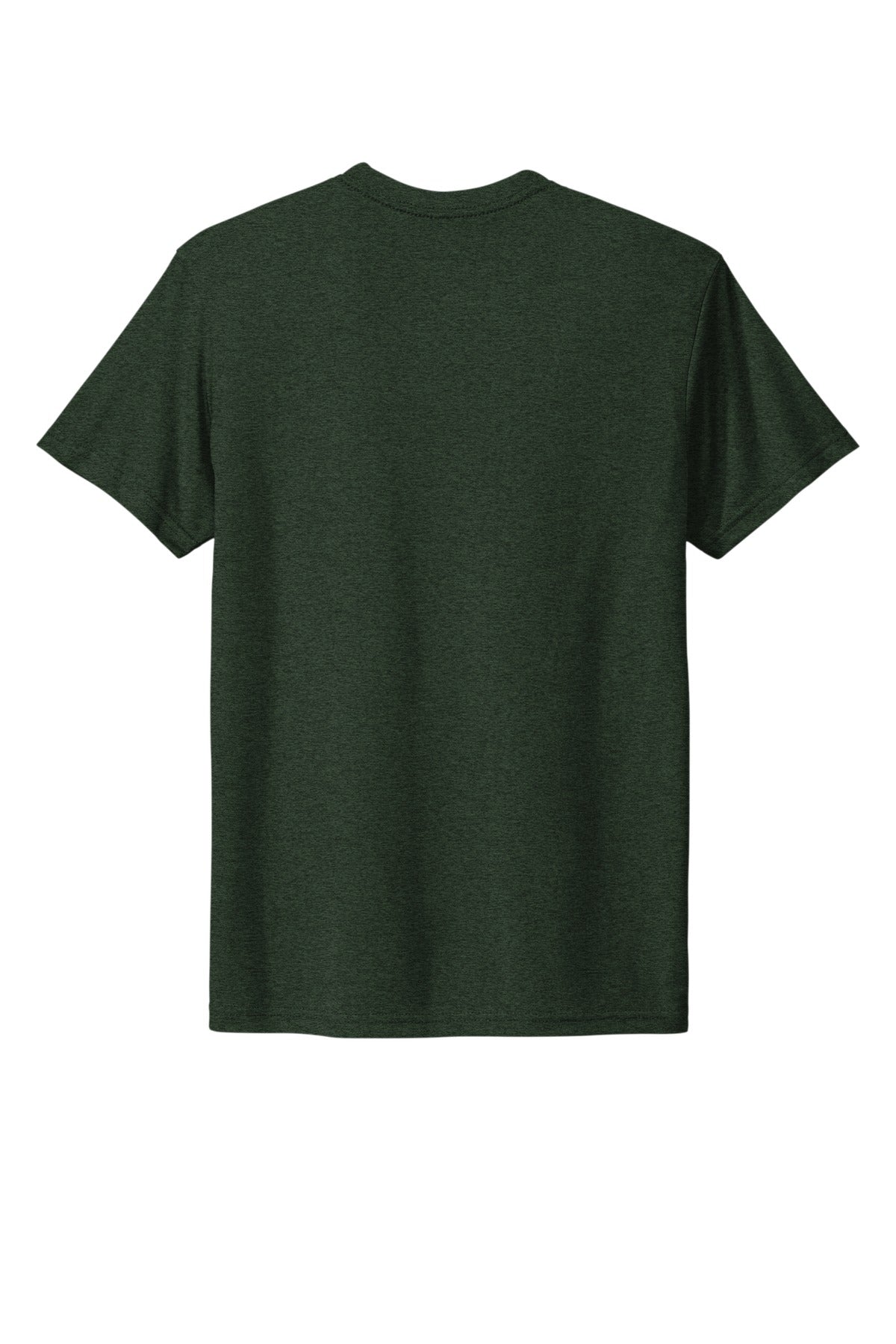 Rear View of BlkForest Next Level Apparel Adult Tri-Blend Tee. NL6010