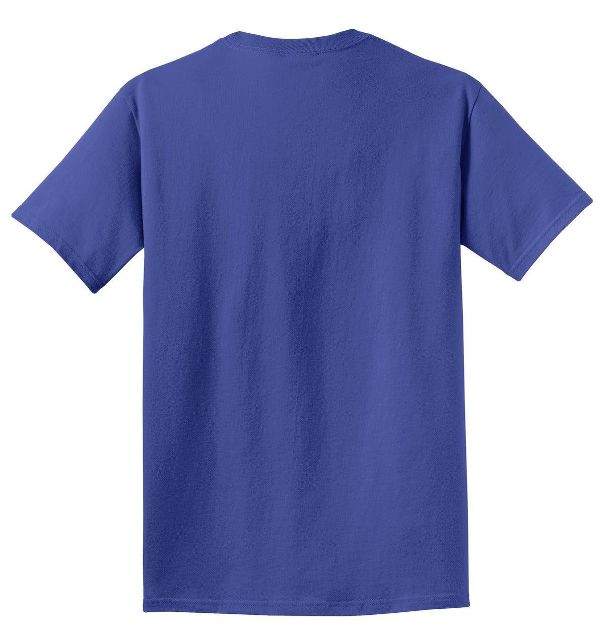 Rear View of Blue Iris Port & Co Beach Wash Garment-Dyed Tee. PC099