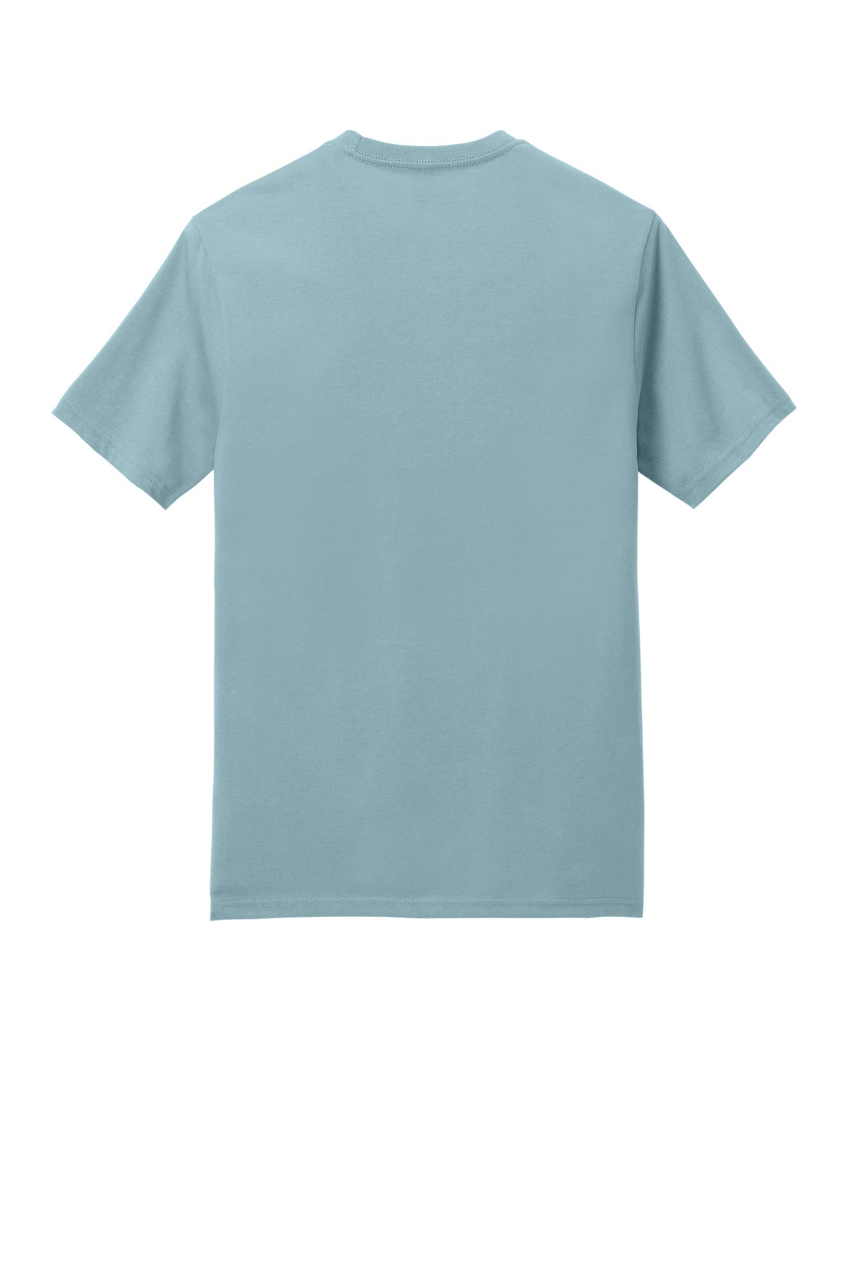 Rear View of BlueFog District Perfect Weight Icon Tee DT106