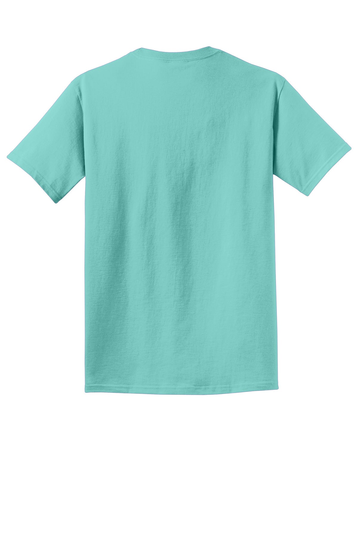 Rear View of CoolMint Port & Co Beach Wash Garment-Dyed Tee. PC099