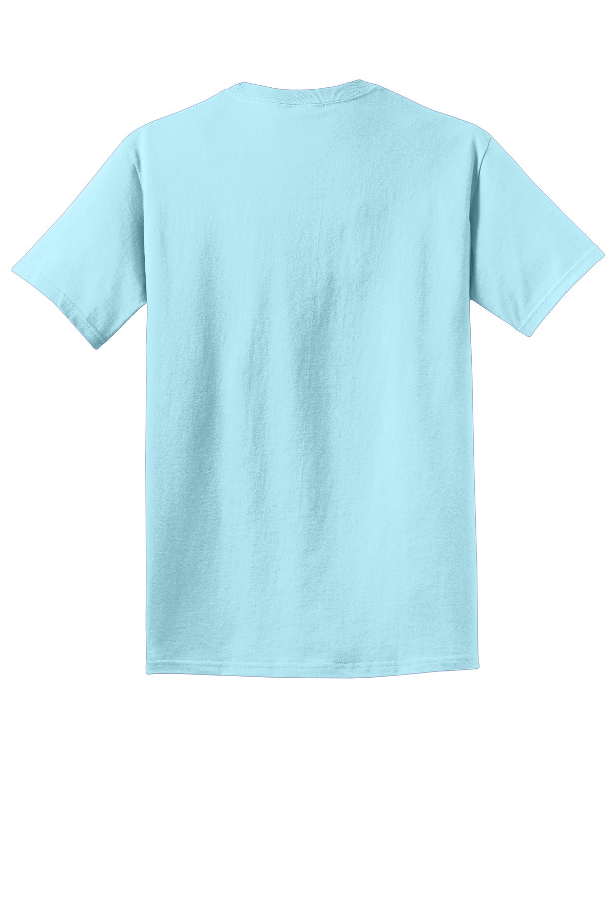 Rear View of Glacier Port & Co Beach Wash Garment-Dyed Tee. PC099