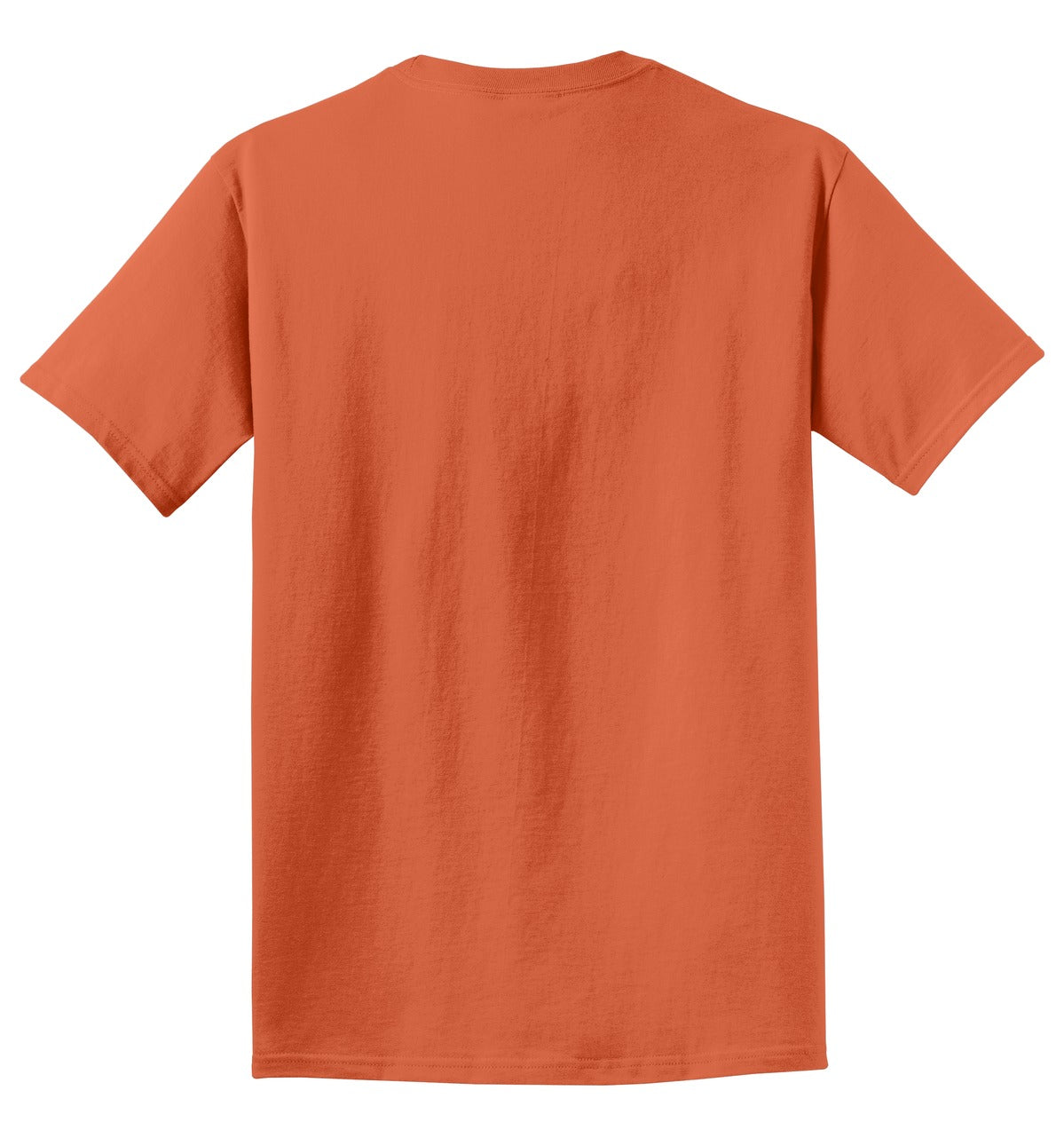 Rear View of Goldfish Port & Co Beach Wash Garment-Dyed Tee. PC099