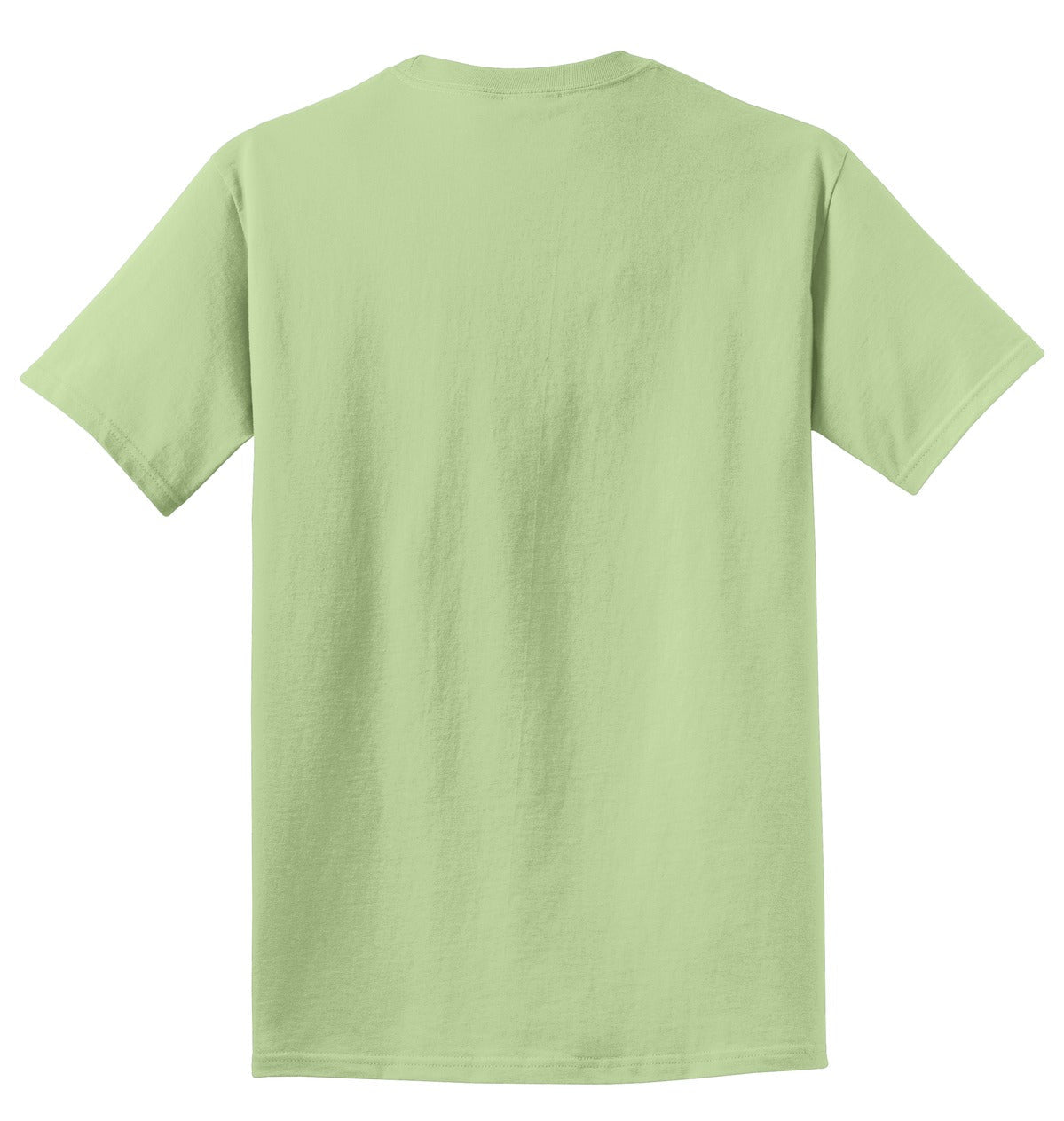Rear View of Honeydew Port & Co Beach Wash Garment-Dyed Tee. PC099