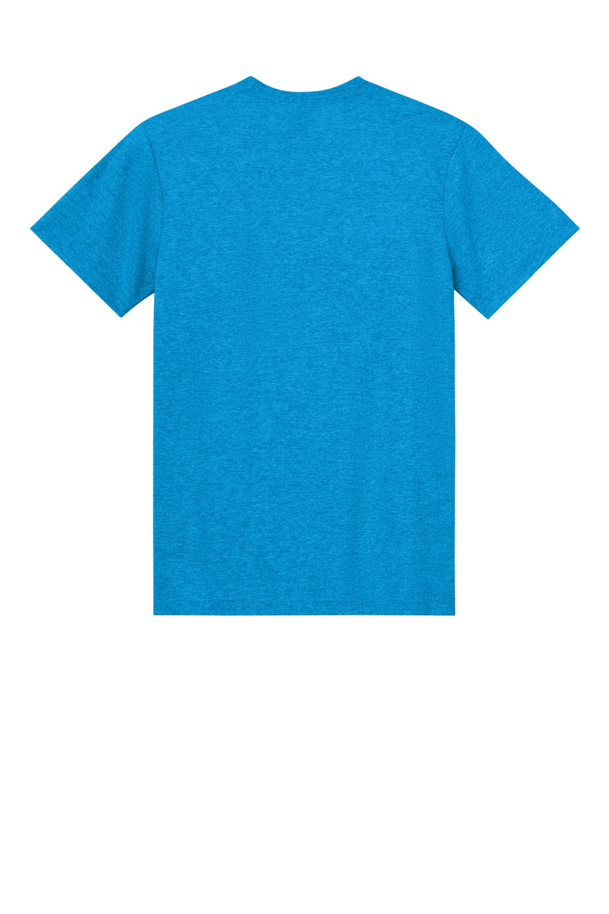 Rear View of HtSapphire Gildan Light Cotton Tee 3000