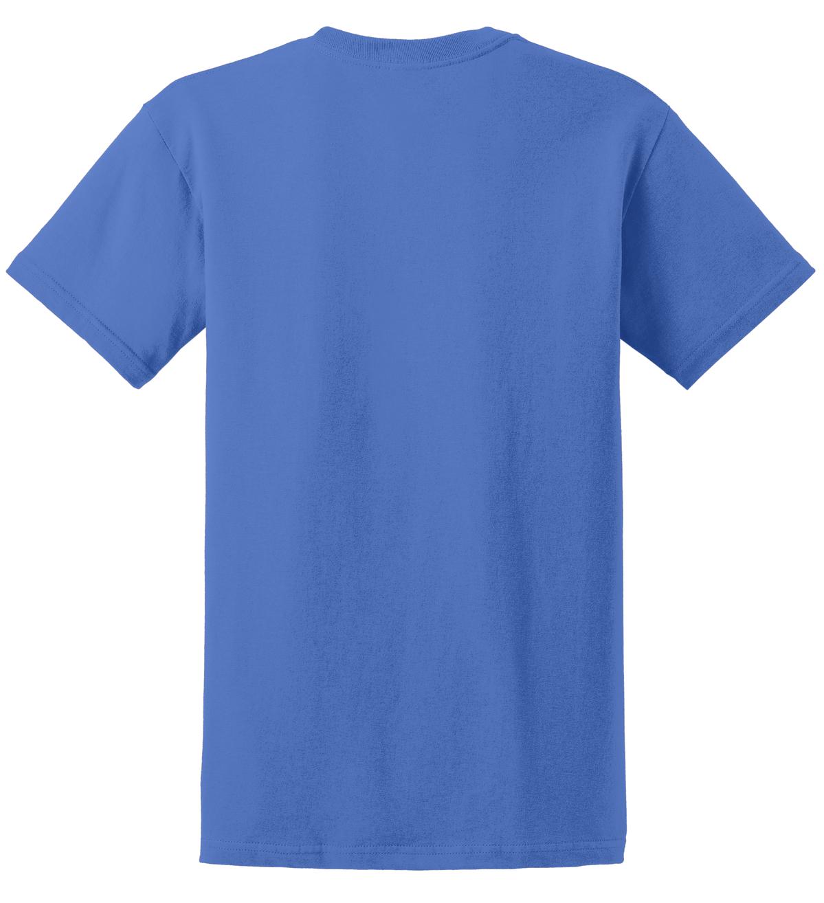 Rear View of Iris Gildan - Ultra Cotton 100% US Cotton T-Shirt. 2000