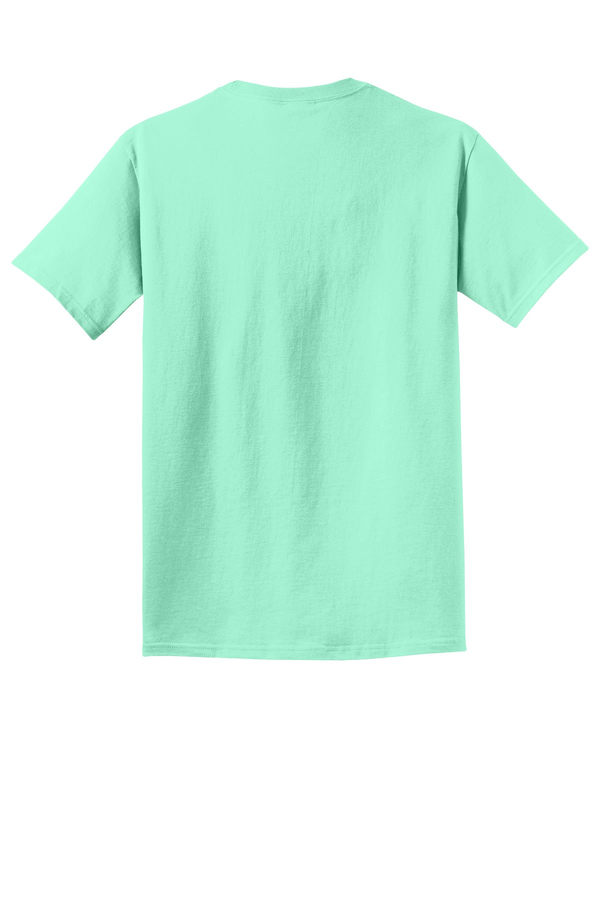 Rear View of Jadeite Port & Co Beach Wash Garment-Dyed Tee. PC099