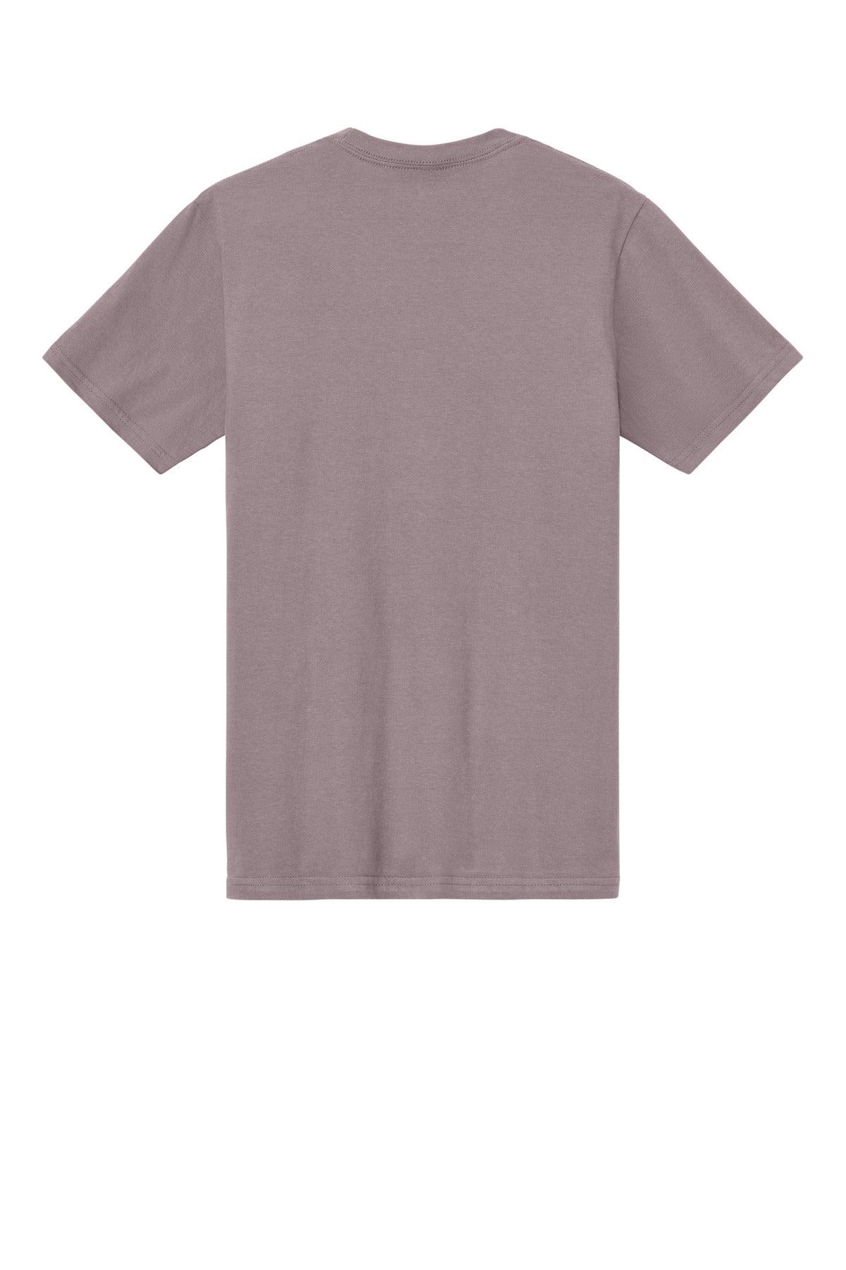 Rear View of Paragon Gildan Softstyle Midweight Tee 65000