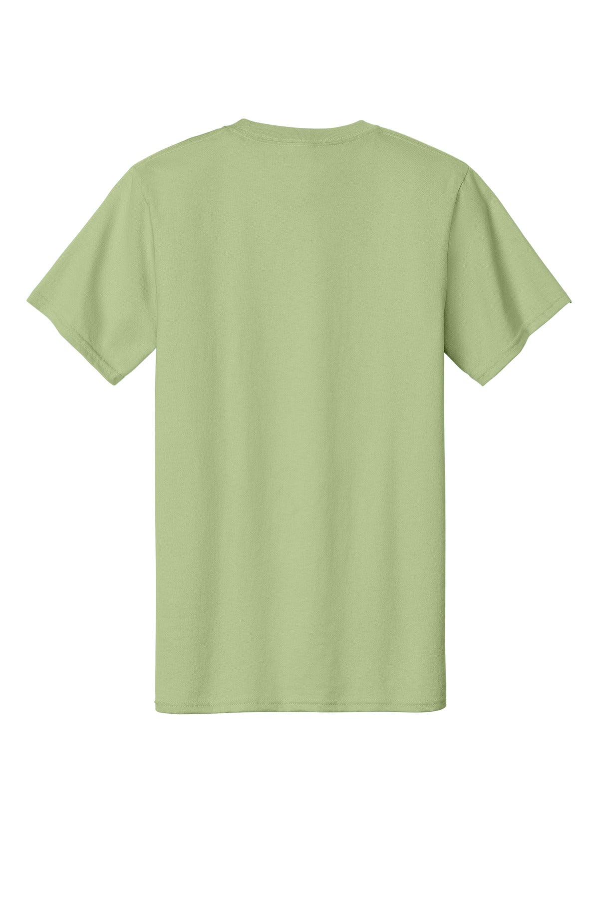 Rear View of Pistachio Port & Co Essential Tee. PC61