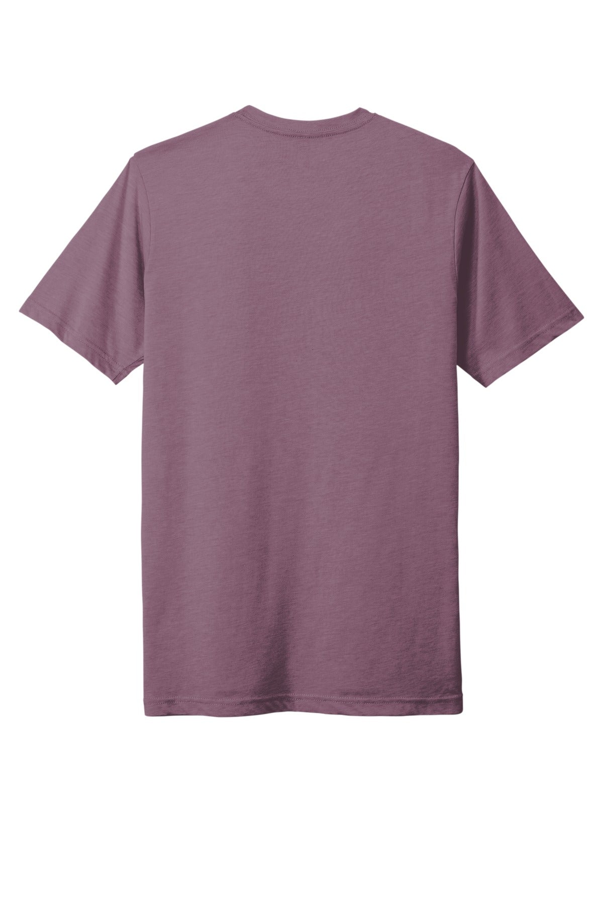 Rear View of Shiraz Next Level Apparel Adult Poly/Cotton Tee. NL6200