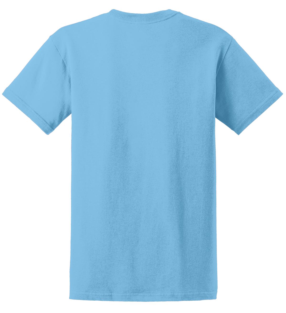 Rear View of Sky Gildan - Ultra Cotton 100% US Cotton T-Shirt. 2000