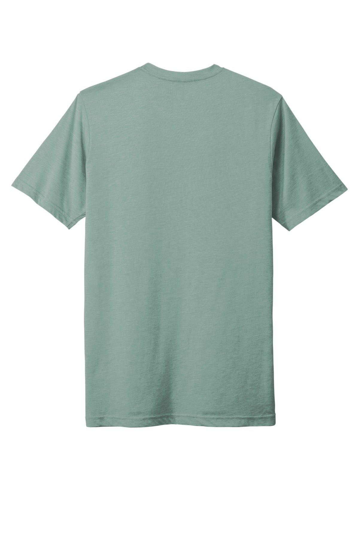 Rear View of StnwshGrn Next Level Apparel Adult Poly/Cotton Tee. NL6200