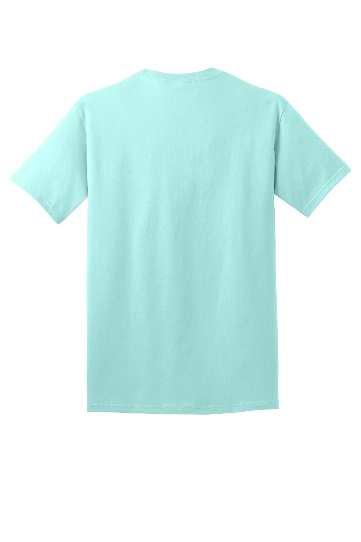 Rear View of TrCeladon Port & Co Core Cotton Tee. PC54