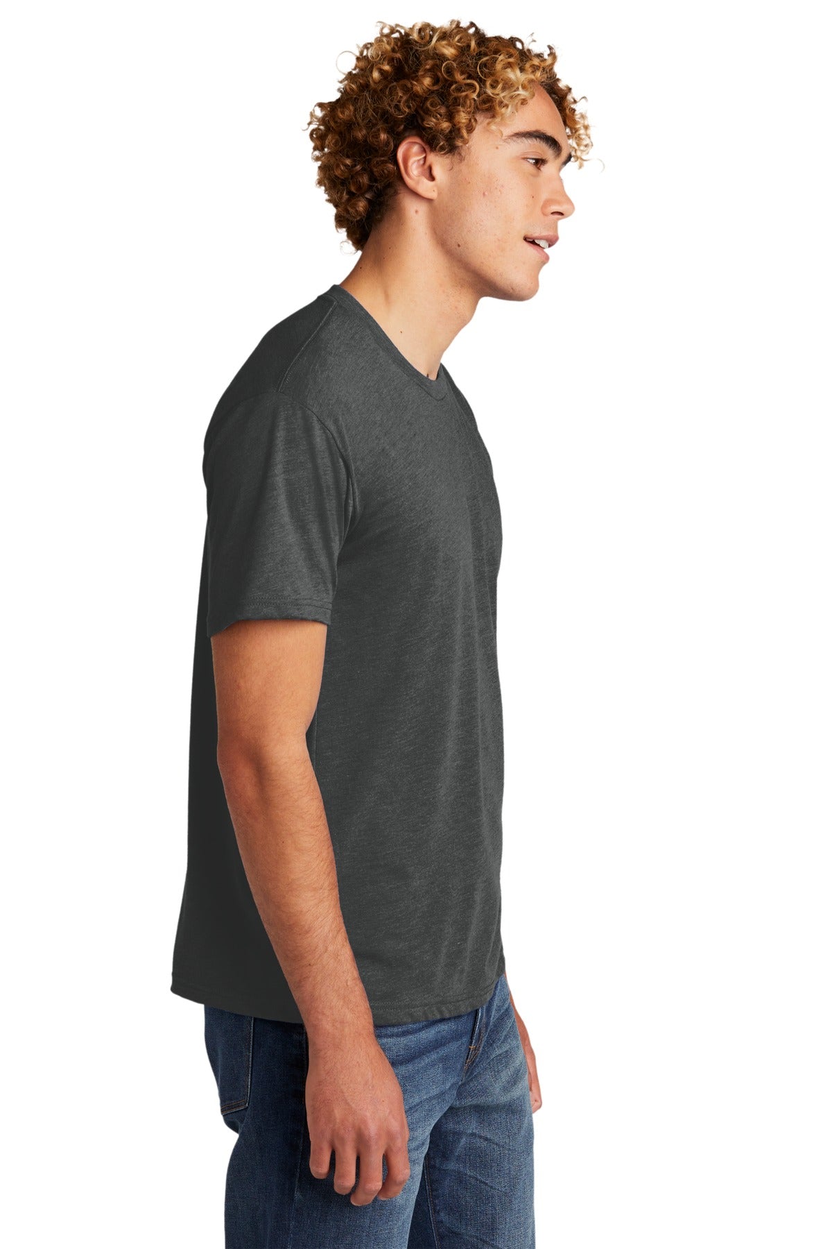 VtgHvyMetl Next Level Apparel Adult Tri-Blend Tee. NL6010
